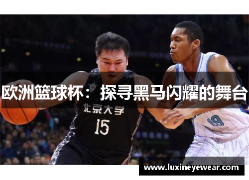 欧洲篮球杯：探寻黑马闪耀的舞台