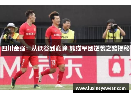 四川金强：从低谷到巅峰 熊猫军团逆袭之路揭秘