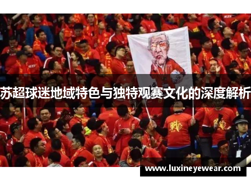 苏超球迷地域特色与独特观赛文化的深度解析